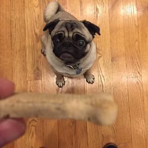 Meet your Posher, Peter